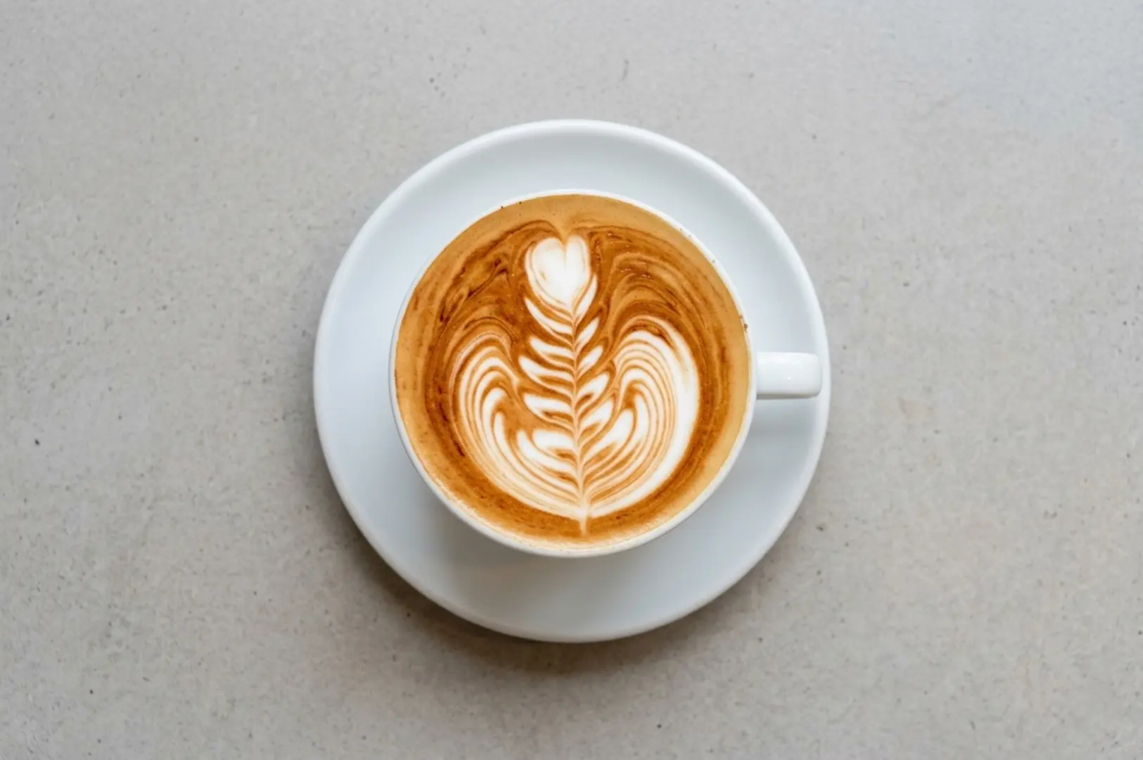 Top-down view of a white cup containing a latte with intricate fern-patterned latte art on a saucer