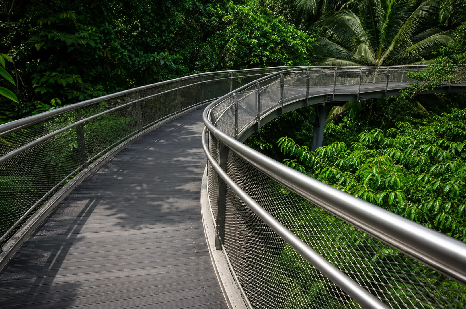 Curved elevated walkway with metal railings winding through lush green tropical forest