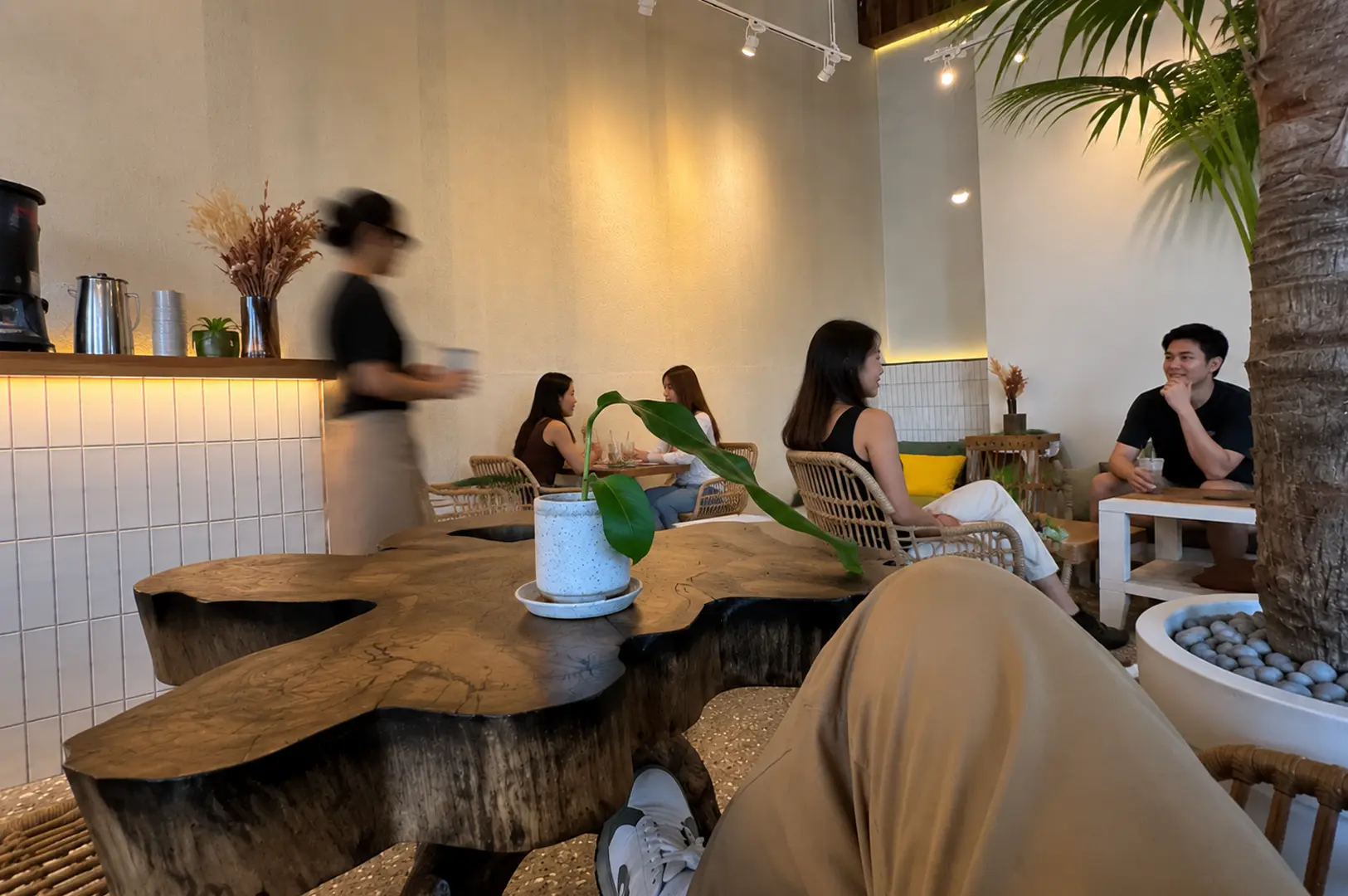 Cozy cafe interior featuring a large live-edge wooden table, rattan chairs, and customers relaxing near a large indoor palm tree